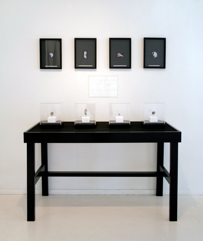 Siv_Bugge_Vatne_Asteroide_og_maanesteiner