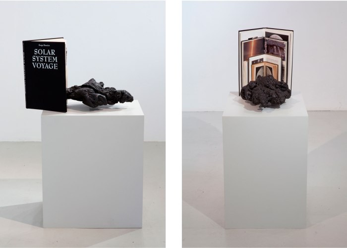 Elleve kilometer i sekundet. Bøkene Astronomi (1899) Verdens-altets bygning, størrelse og alder (1935), The Messier Album (1978), Det ny verdensrom (1974), Månens erobring (1969), Solar system voyage (2002), uidentifisert plastobjekt, akryl. 42x52xh27 cm, 2011.